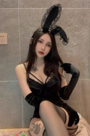 艾米莉在巴黎