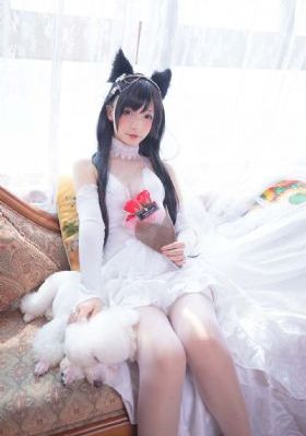 瓢虫雷迪5季普通话版